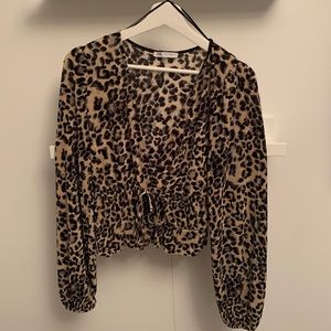 Women’s ZARA Leopard Print V-Neck Blouse
